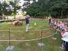 IMG_20220623_093117