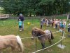 IMG_20220623_093721