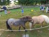 IMG_20220623_093939