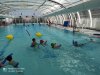 IMG_20220324_111030-1