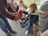 IMG20220308110516