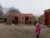 IMG20250203115337